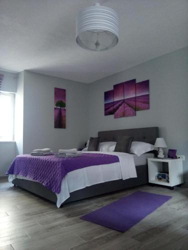 Elly apartments Split