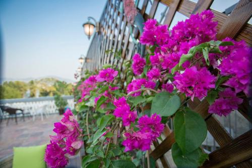 a bunch of purple flowers on the side of a fence at Mumian inn in Chaozhou