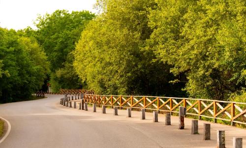 a bridge over a road with trees on the side at Hotel Spa Attica21 Vilalba in Villalba