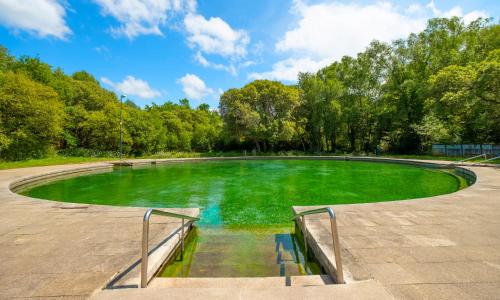 a large pool of green water in a park at Hotel Spa Attica21 Vilalba in Villalba