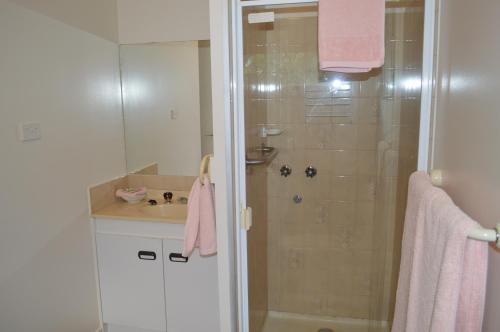 a bathroom with a shower and a sink at Waterfall Cottage in Rosebud