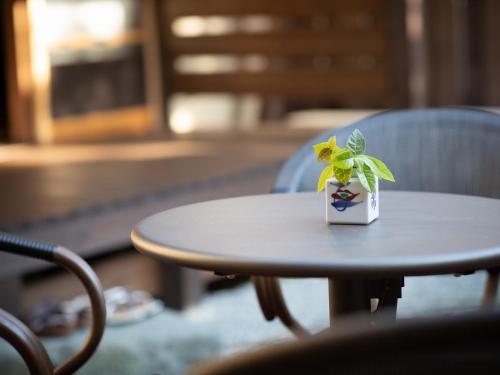 a small plant sitting on top of a table at 内子の宿 久 in Uchiko