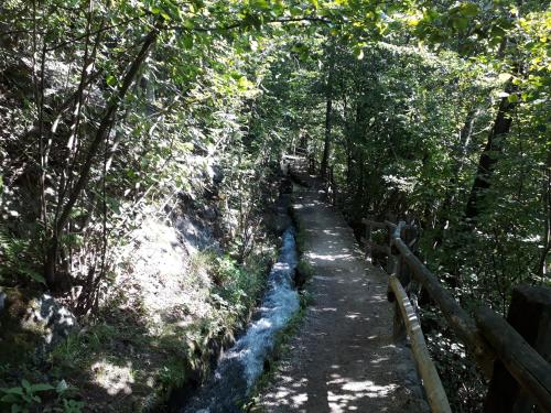 a trail in a wooded area with a path at GRETL - Residence in Parcines