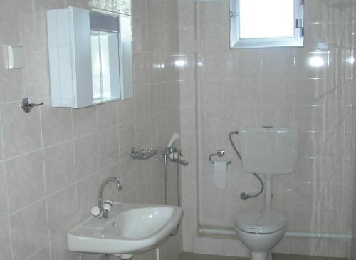 a bathroom with a toilet and a sink at Apartments Ziogas in Paralía Skotínis