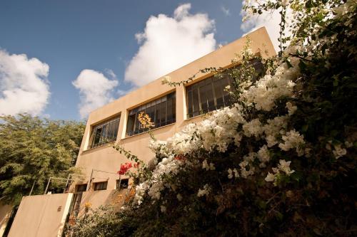 a building with white flowers in front of it at Krivine B&B in Midreshet Ben Gurion