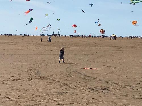 a child standing on a beach flying kites at Design Suites Lytham in Lytham St Annes