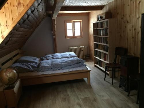 a bedroom with a bed and a book shelf at Chalupa Janov nad Nisou 1064 in Janov nad Nisou