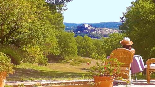 a man sitting on a bench looking out over a park at Le Mas Sérénité in Ansouis