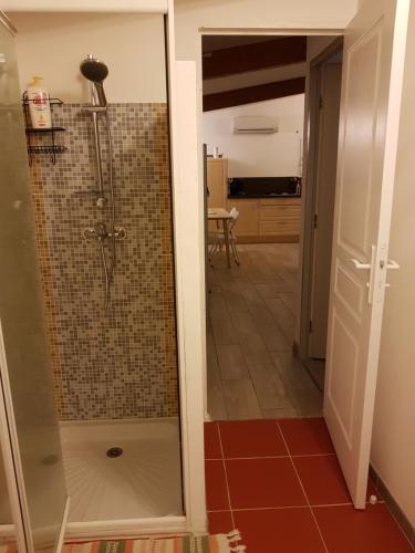 une douche avec une porte vitrée dans une pièce dans l'établissement MARTIN's COTTAGE Tourrettes, à Tourrettes