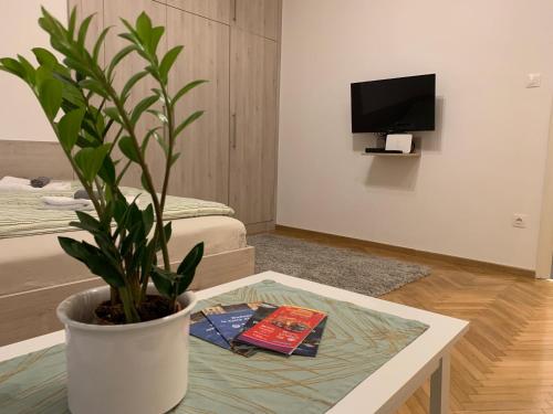 un soggiorno con una pianta in vaso su un tavolo di Heroes’ Residence II a Budapest