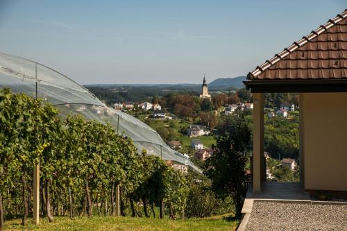 a view of a bunch of vines in a greenhouse at Apartmani Petra i Tea in Krapina