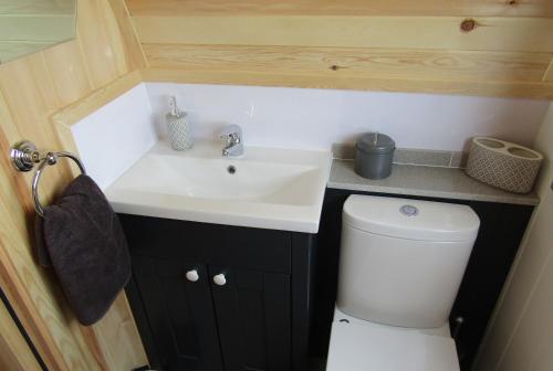 a small bathroom with a sink and a toilet at Harlosh Hideaways - Stargazer Pod in Harlosh