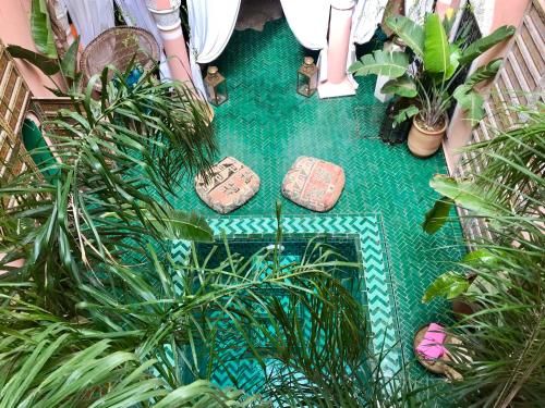 an overhead view of a green floor with plants at The Bohemian Jungle in Marrakech