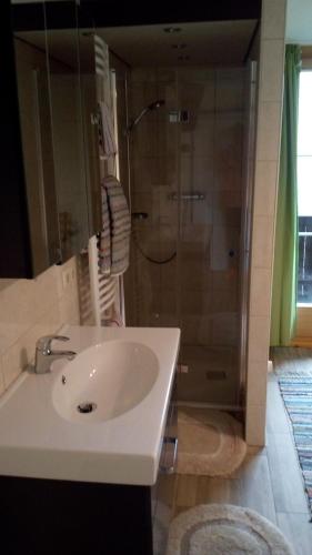 Un baño de Janserhof