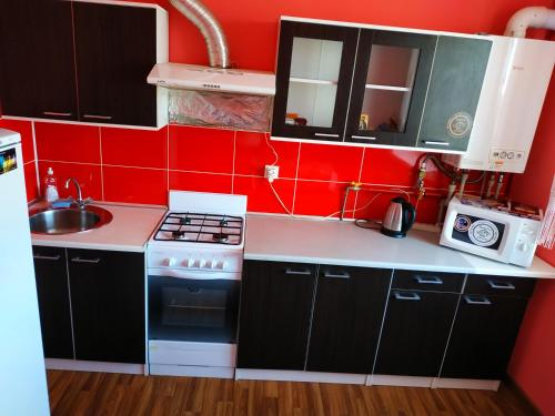 a small kitchen with black cabinets and red walls at Хмельницьке шосе, 122а Апартаменти in Vinnytsya