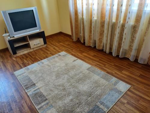 a living room with a television and a rug at Хмельницьке шосе, 122а Апартаменти in Vinnytsya