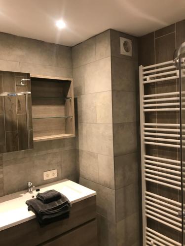 a bathroom with a sink and a shower at Residentie Valauris in Middelkerke