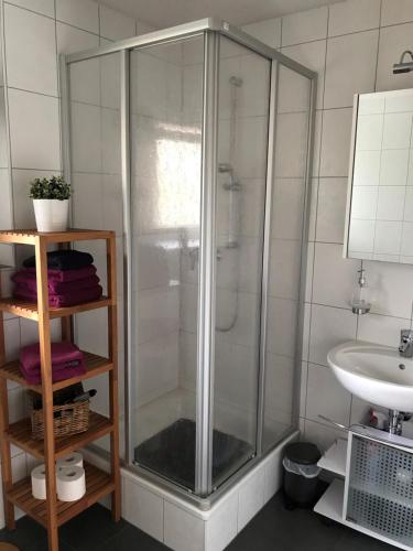 a glass shower in a bathroom with a sink at Ferienwohnung Egerten in Wehr