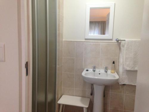 a bathroom with a sink and a mirror at Blue Fern of Knysna in Knysna
