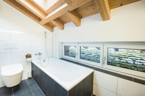 een badkamer met een wastafel, een toilet en ramen bij Beaulac Penthouse in Brienz