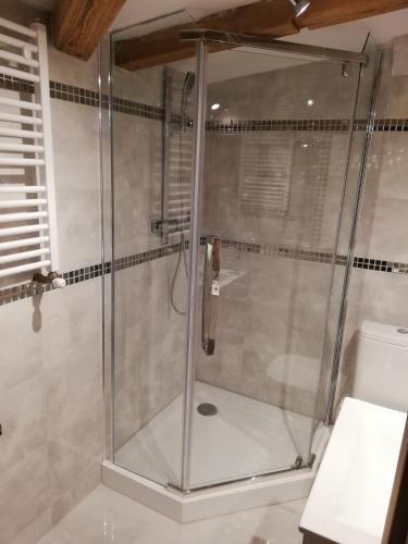 a shower with a glass door in a bathroom at Apartament Tower in Bydgoszcz