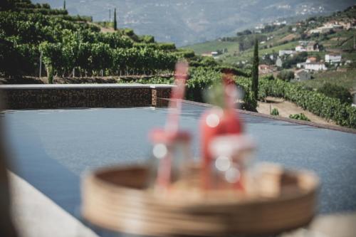 a toy boat sitting on top of a pool of water at Casal dos Capelinhos - Douro in Santa Marta de Penagui&atilde;o