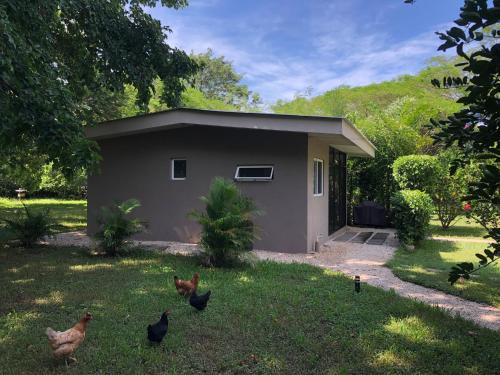 Villas Onda del Bosque – Photos 3