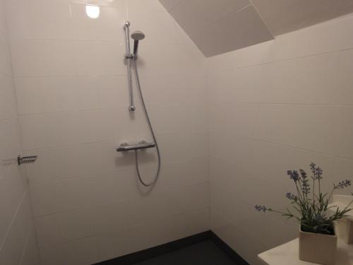 ハルリンゲンにあるRiethoveの白いタイル張りのバスルーム(シャワー付)