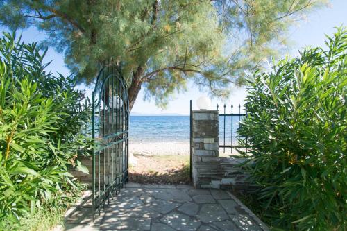Fotografie z fotogalerie ubytování Romantic Seafront Studio - Dream Garden v destinaci Platanidia
