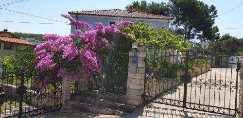 Φωτογραφία από το άλμπουμ του Kuća Luce-soba br.3 σε Mali Lošinj