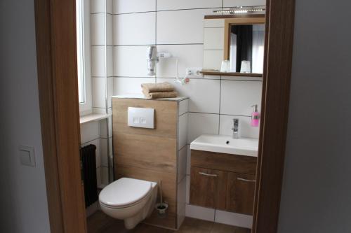 a small bathroom with a toilet and a sink at Hotel Glas Schwarzwald in Fluorn