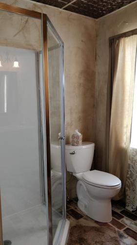 a bathroom with a toilet and a glass shower at The Lancaster Manor Bed and Breakfast in Gainesville