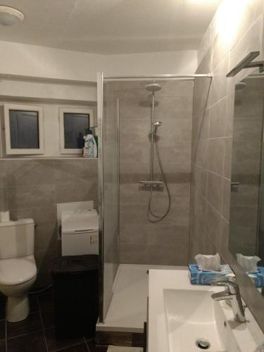 une salle de bain avec une douche, des toilettes et un lavabo dans l'établissement Appartement centre-ville proche lac et thermes, à Thonon-les-Bains