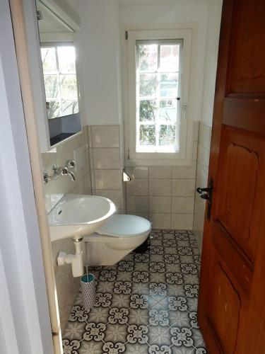 a bathroom with a sink and a toilet and a sink at Traditional Swiss-Flat in Interlaken