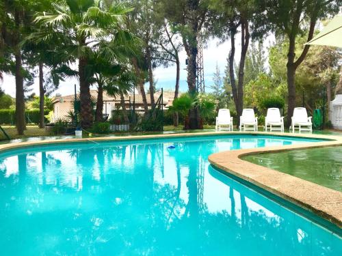 a swimming pool with chairs and palm trees at Villa Miranda in El Rompido