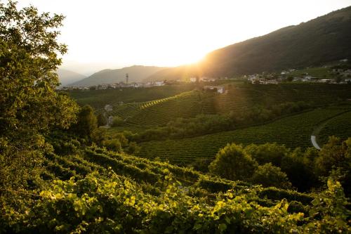 a view of a vineyard at sunset at Oasi di pace nel sito UNESCO del Prosecco DOCG in Farra di Soligo