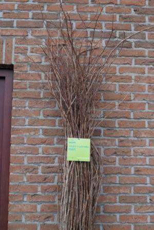 a vase with grass in front of a brick wall at 't Bruggeske in Mol