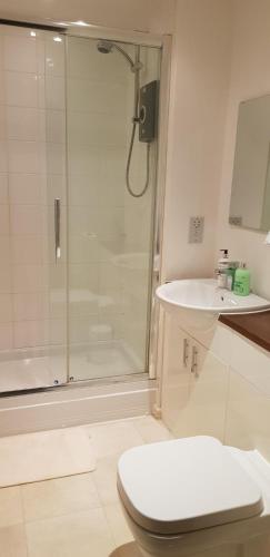a bathroom with a shower and a toilet and a sink at Garland Modern Apartment, Greenhithe 1 With Parking in Dartford