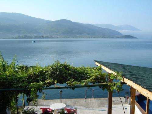a view of a lake with a bunch of vines at 'By the Lake' Apartments in Ohrid