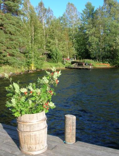 a barrel with a plant in it next to a body of water at Herranniemi Guesthouse in Vuonislahti