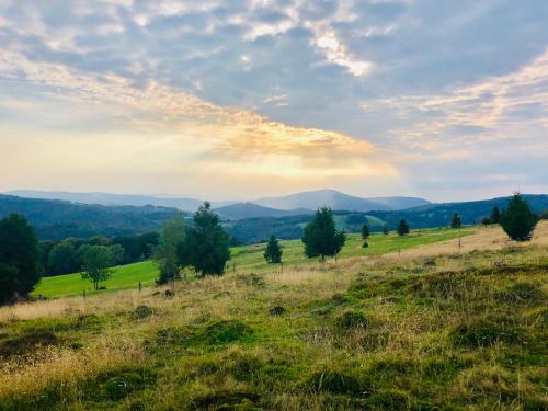 a field with trees and mountains in the distance at Sielanka w Brennej in Brenna