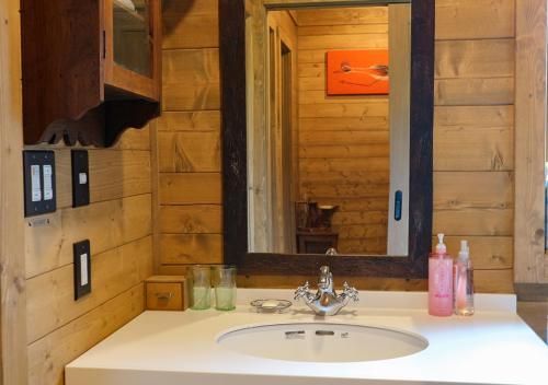 a bathroom with a sink and a mirror at Pension Kamifuji in Osaki