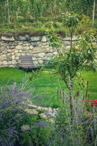 a park bench in a garden with flowers at Appartements Mayrhof in Bressanone