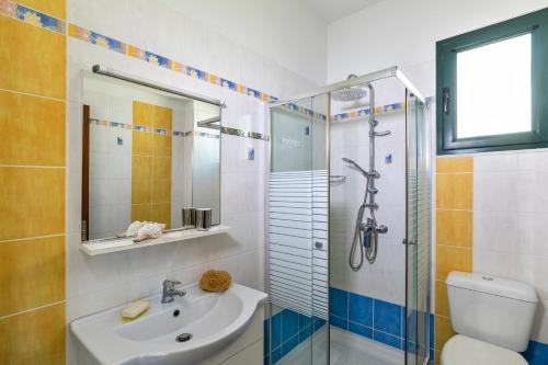 a bathroom with a shower and a sink and a toilet at House Almyra in Lachania