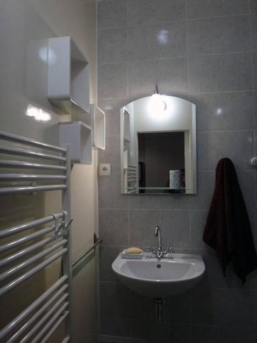 une salle de bain avec un lavabo et un miroir dans l'établissement Gîte de la Galerie du Pont, à La Charité-sur-Loire