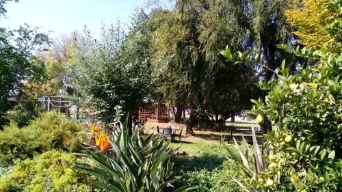 Taman di luar Grey Goose Game Lodge