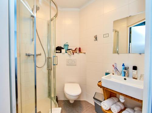 a bathroom with a shower and a toilet and a sink at Hôtel Restaurant L'Escale d'en Arz in Ile d'Arz