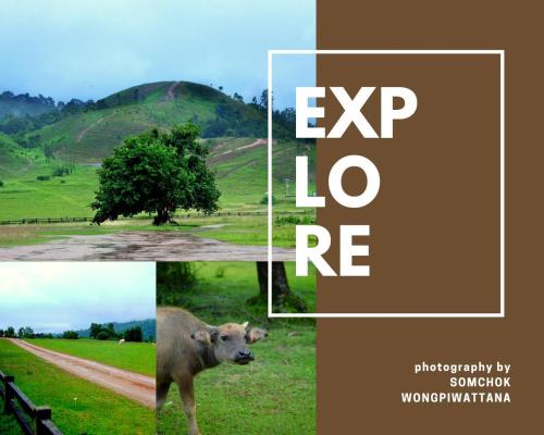 a collage of photos of a cow standing in a field at W House Ranong 2Bedroom villa in Ranong