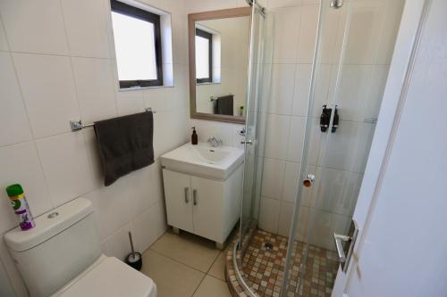 a bathroom with a shower and a toilet and a sink at Boutique Guesthouse Mariental in Mariental