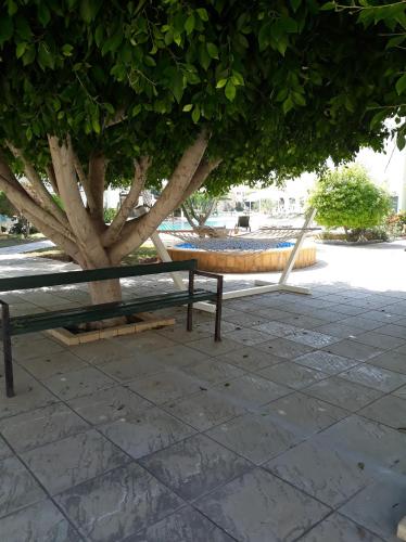 a bench sitting under a tree next to a tree at Sunrise Beach Club (Hera B6@) in Kalecik